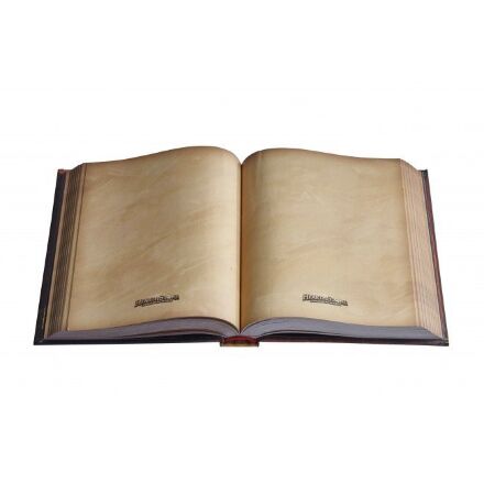 Нотатки Hearthstone Box Journal