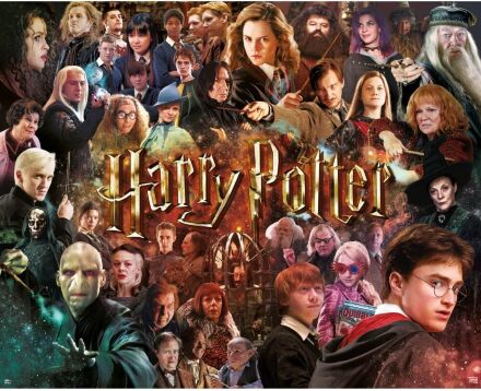 Пазл Гаррі Поттер Harry Potter Characters Movie Collage Puzzle (1000-Piece)