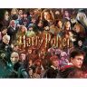Пазл Гаррі Поттер Harry Potter Characters Movie Collage Puzzle (1000-Piece)