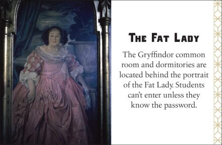 Міні книга Harry Potter: Gryffindor (Tiny Book)