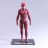 Фигурка Флэш DC Comics The Flash Figure 17см