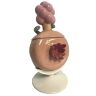 Плюмбус Солонка і Перечниця Рік і Морті - 8 '' Plumbus 2 in 1 Salt and Pepper Shakers