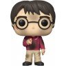 Фигурка Funko Harry Potter 20th Anniversary: Harry with The Stone фанко Гарри Поттер с камнем 132 