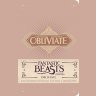 Блокнот Fantastic Beasts and Where to Find Them: Obliviate Ruled Pocket (Insights Journals) 