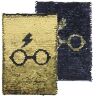 Блокнот Cerda Harry Potter Glasses Premium Notebook (Hardcover)