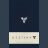 Блокнот Destiny Hardcover Blank Journal (Insights Journals)