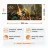 Килимок для миші Blizzard DIABLO IV: Lord of Hatred Paladin Діабло XL (90*42 cm)